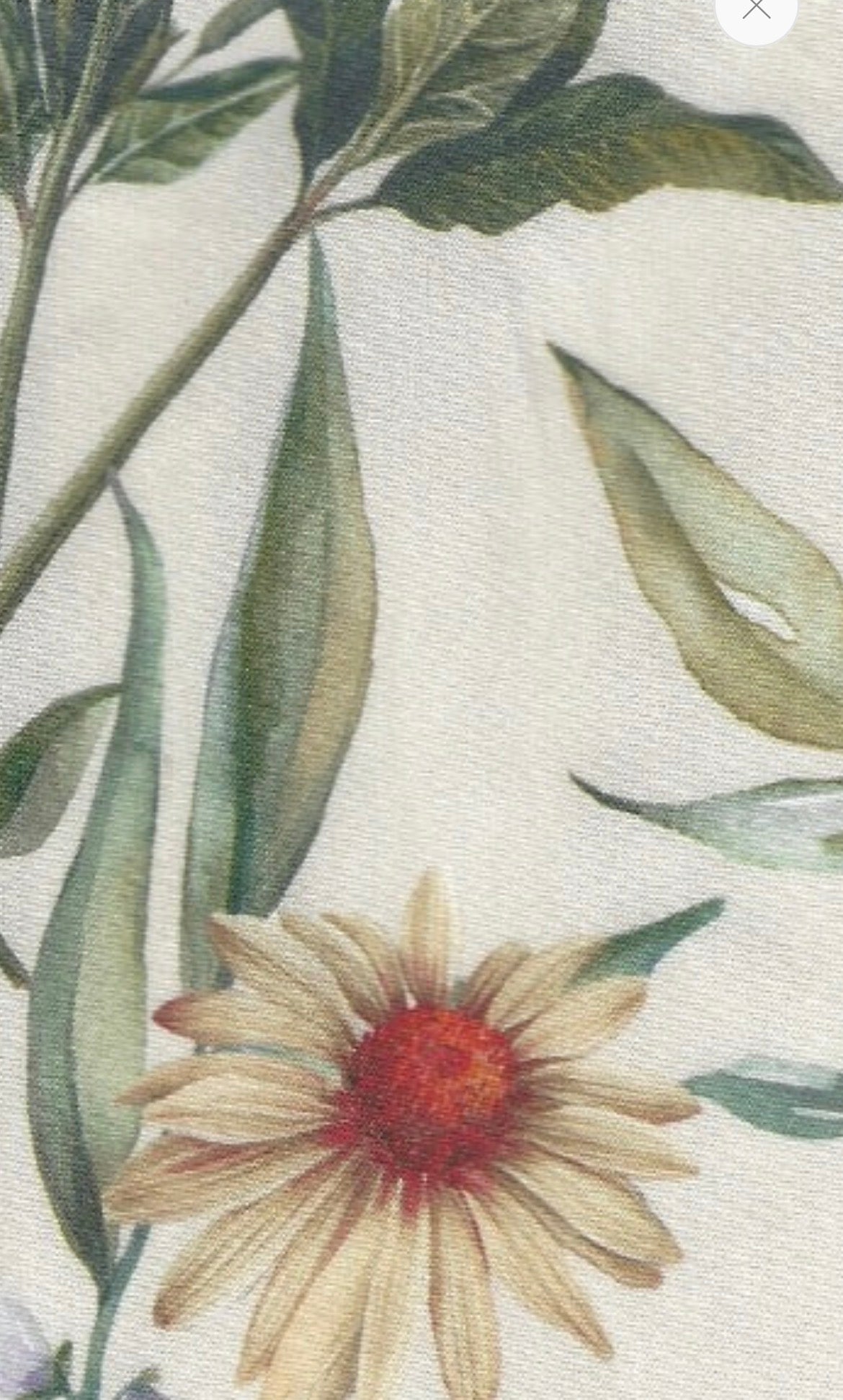 Elsa Blouse-Le Jardin