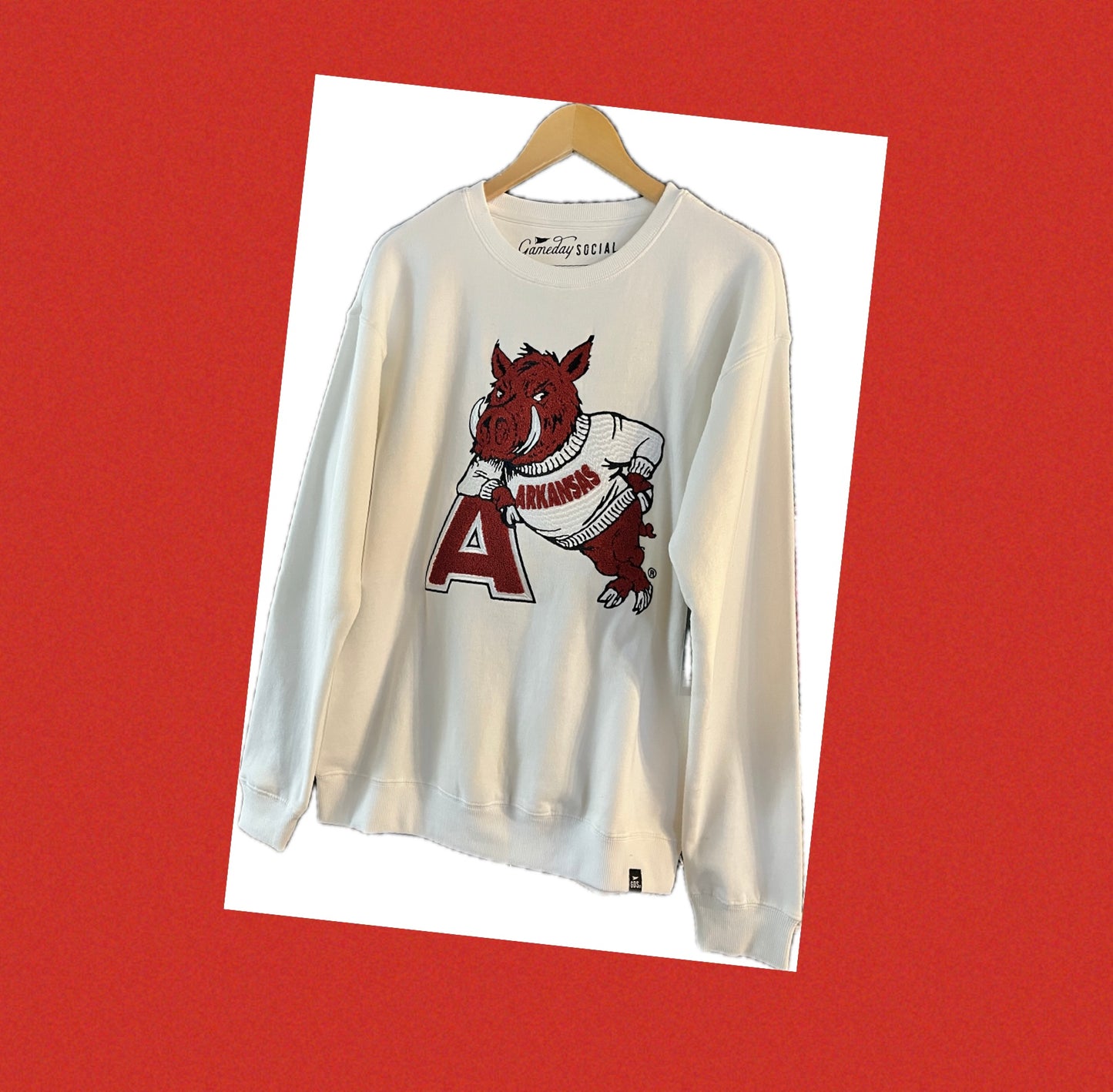 University of Arkansas Mascot Sweatshirt