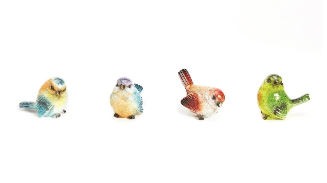 Assorted Colored Birds