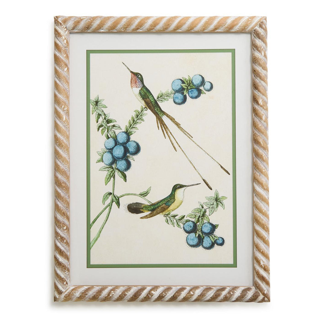 Hummingbird Framed Wall Art Prints-Set of 4