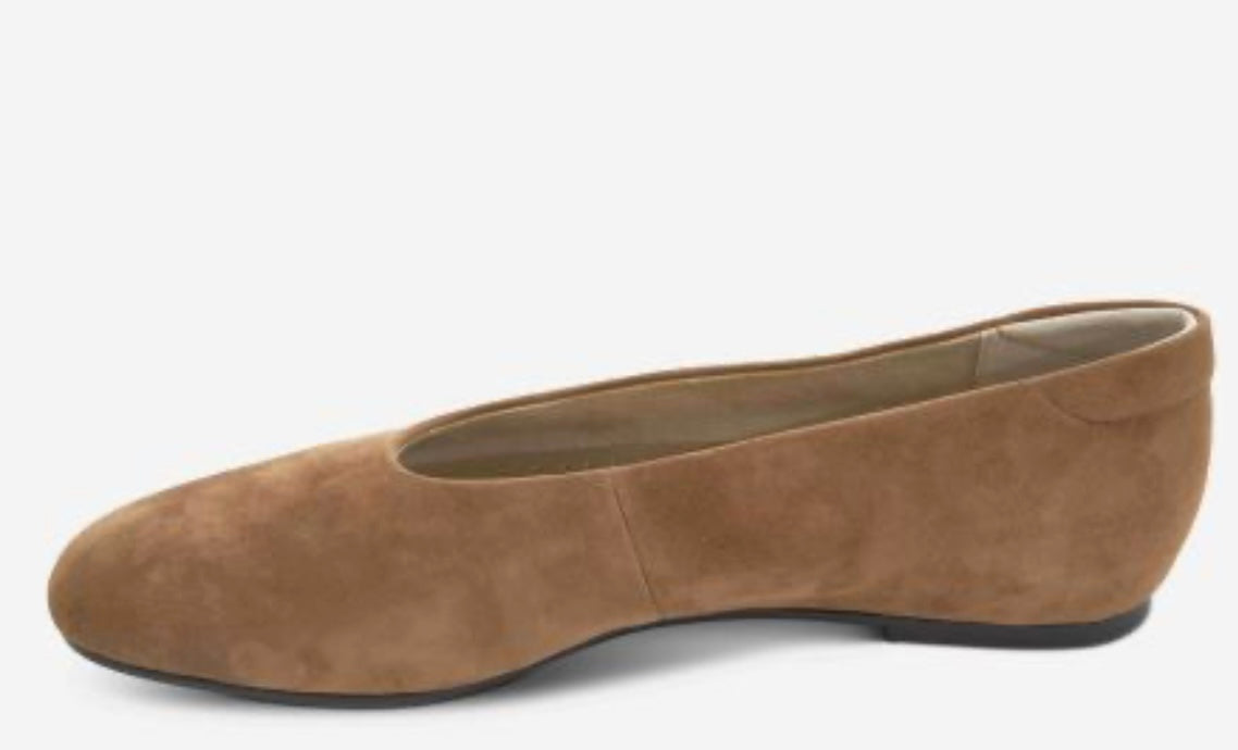 Tarim Suede Shoe