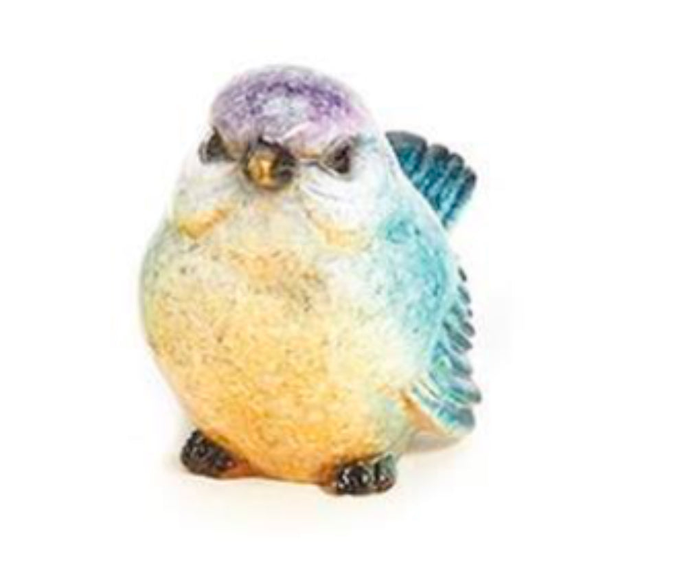 Assorted Colored Birds