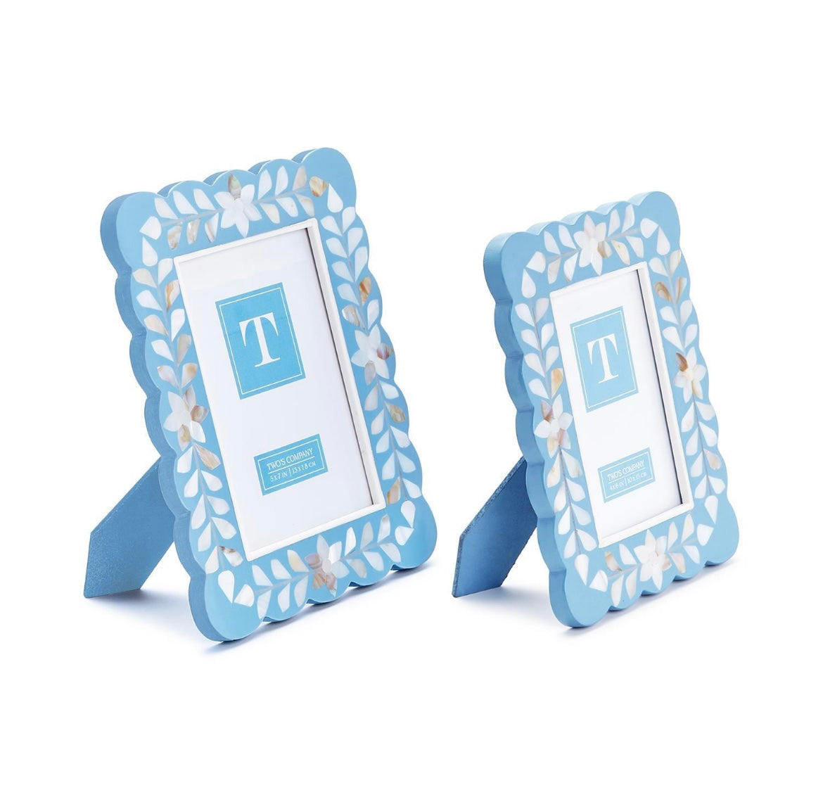 Blue Hydrangeas Frames