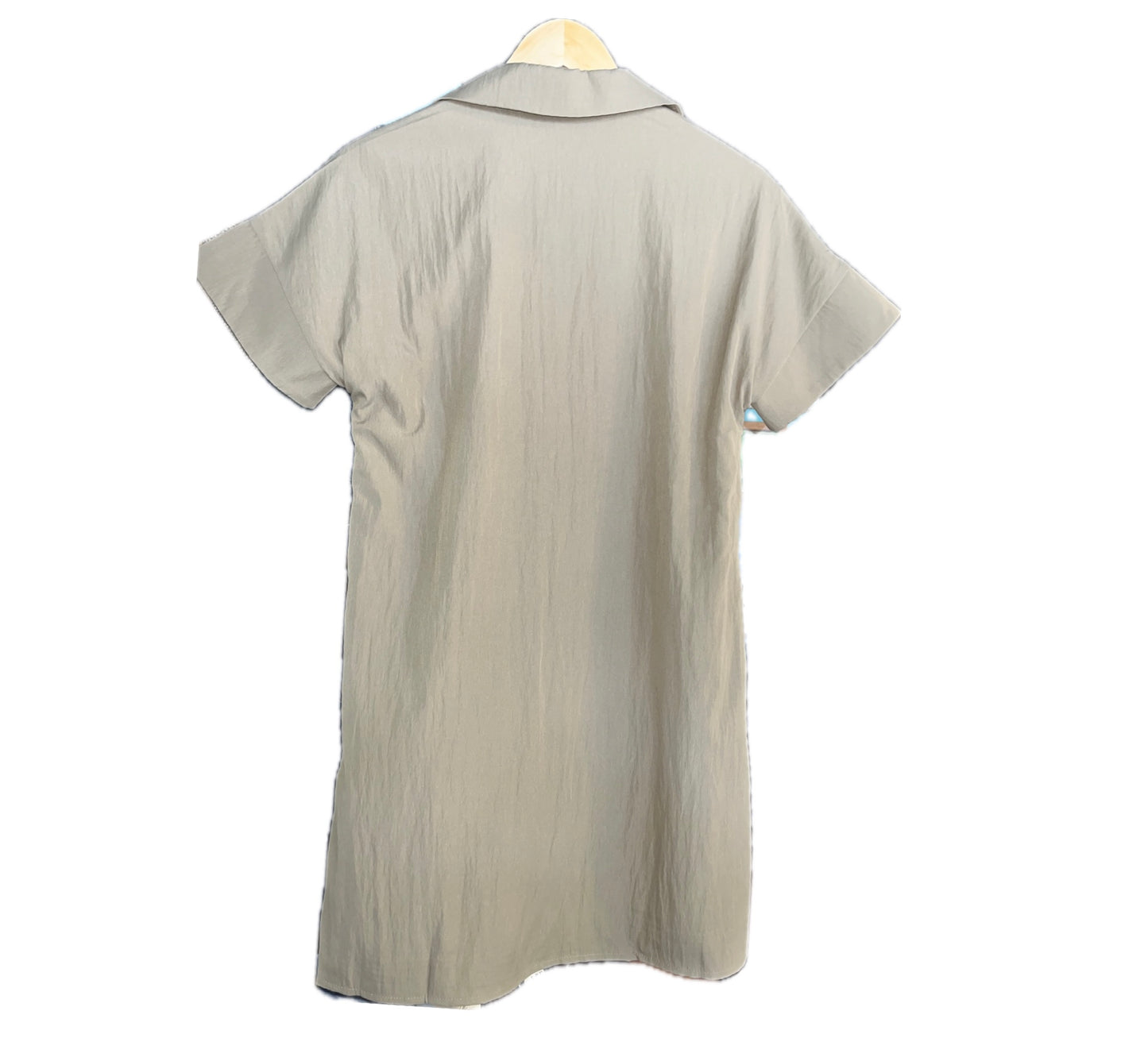 Short Sleeve V-Neck Dress
