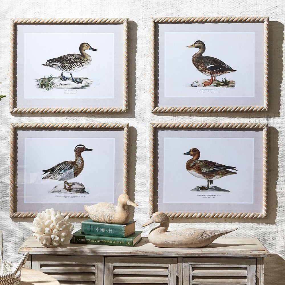Duck Wall Art - Set of 4
