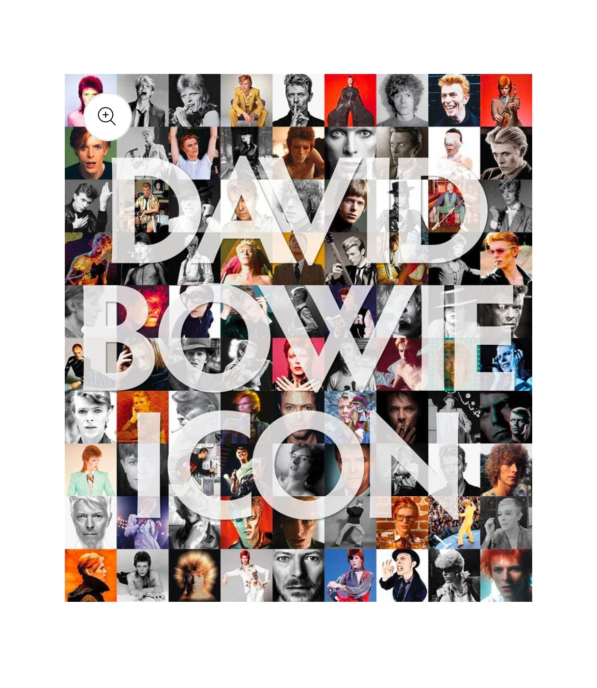 David Bowie Icon Book