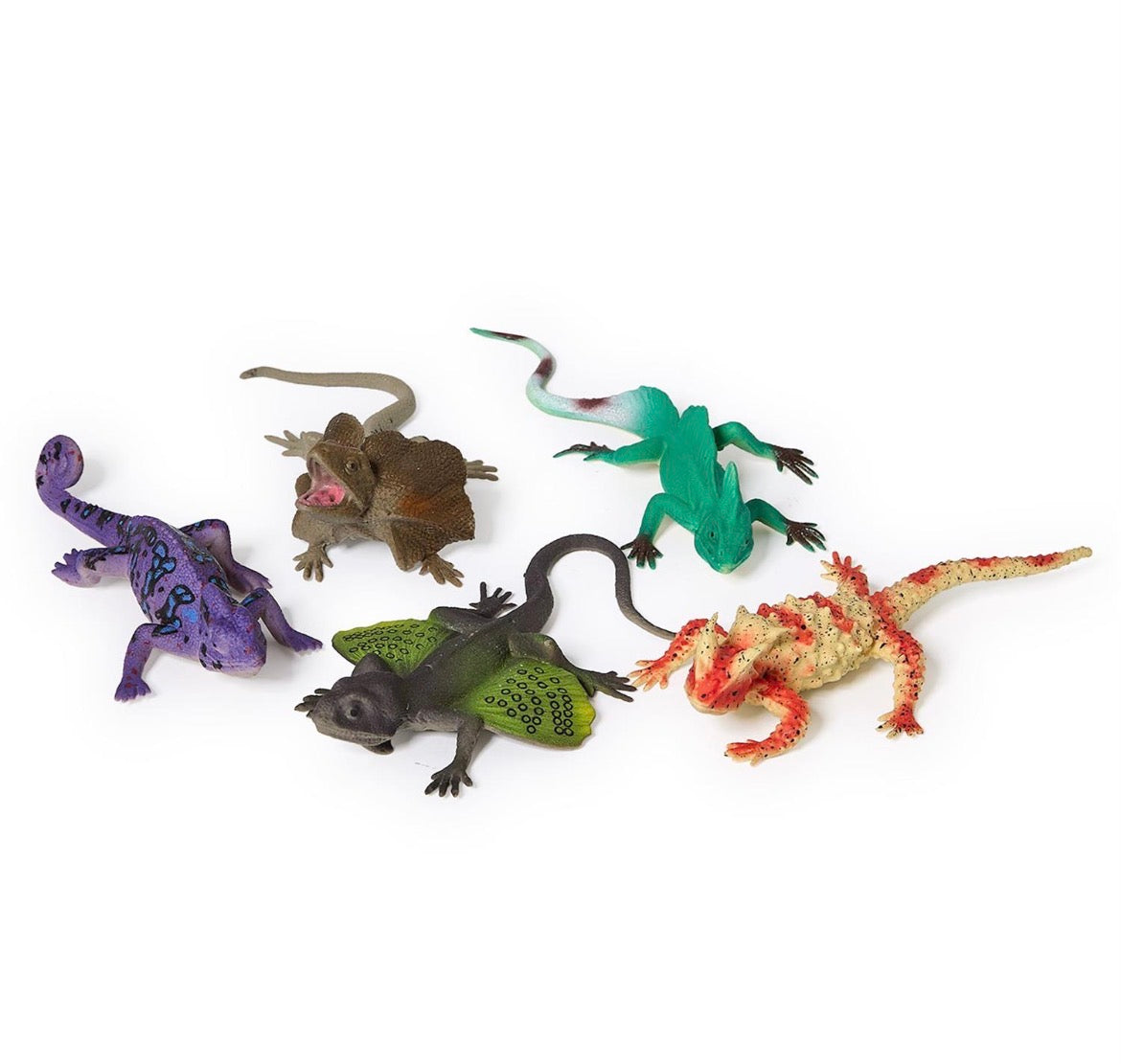 Color Changing Lizards