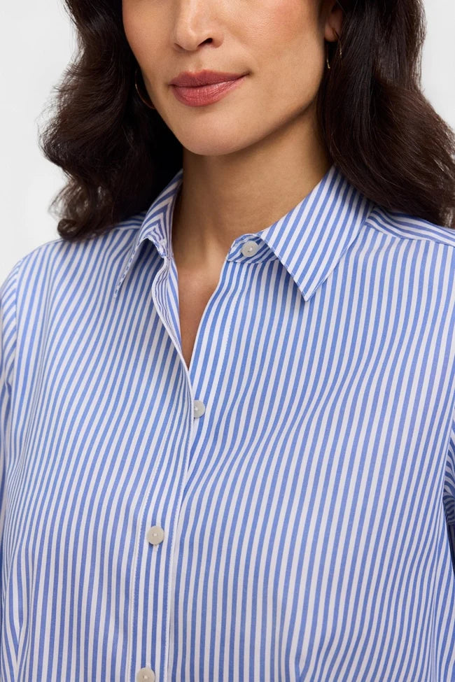 Dianna No Iron Pinpoint Striped Long Sleeve Shirt