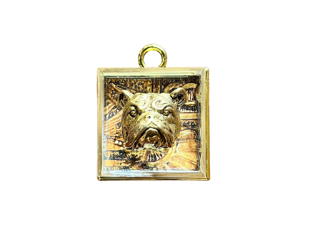 Museum Bees Frames