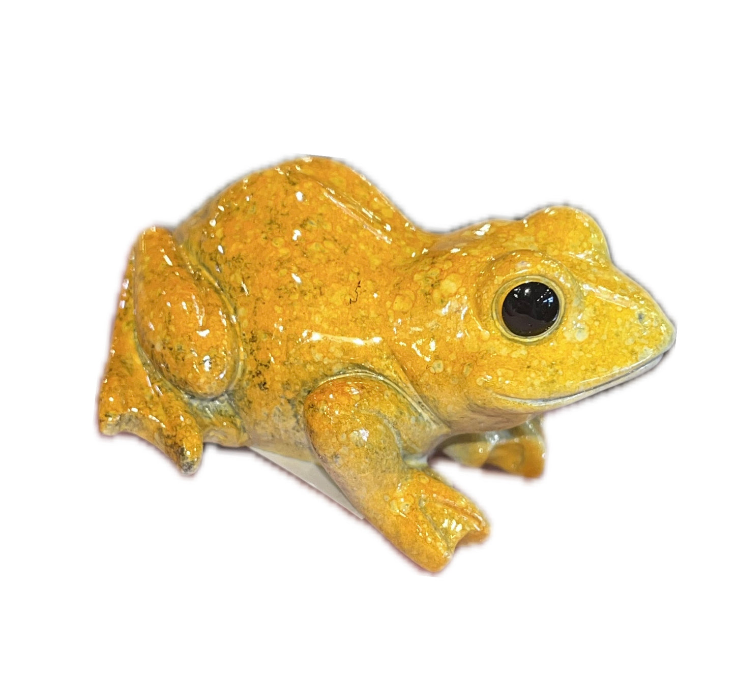 Hand-Painted Frogs