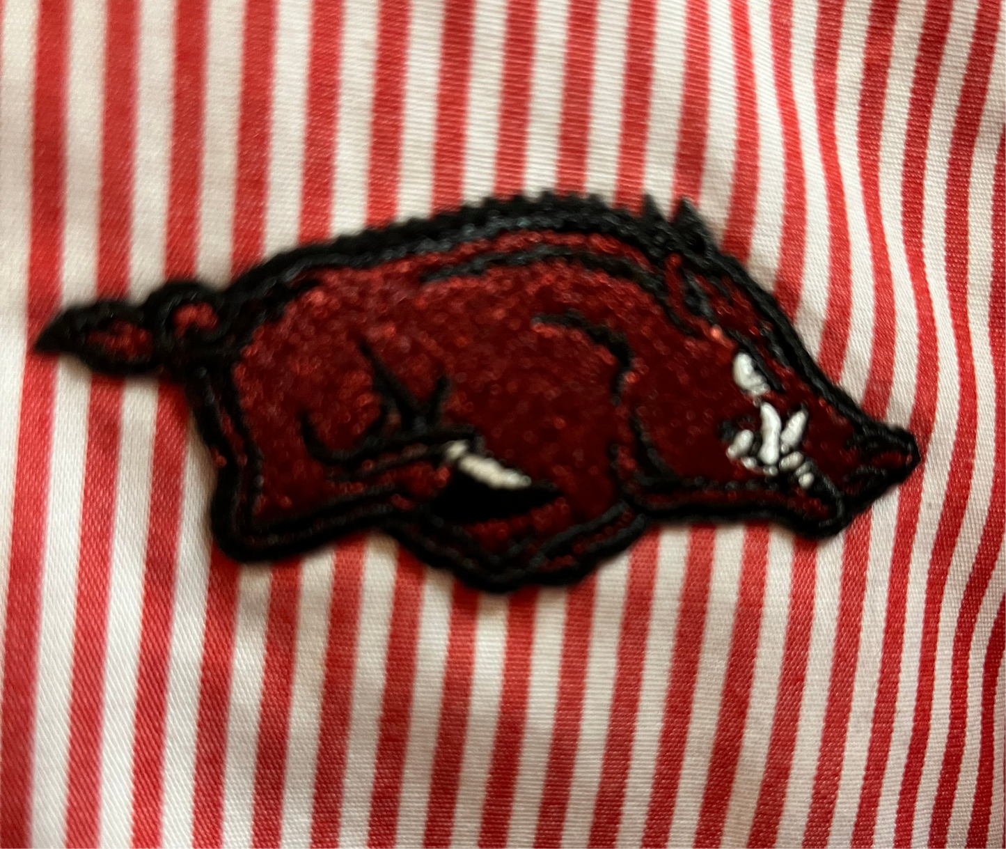 University of Arkansas Logo Patch Striped Buttondown