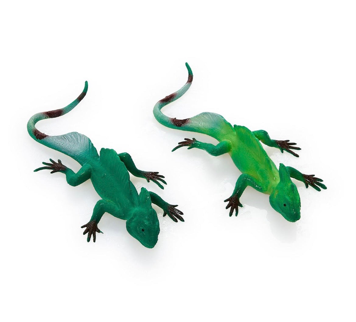 Color Changing Lizards