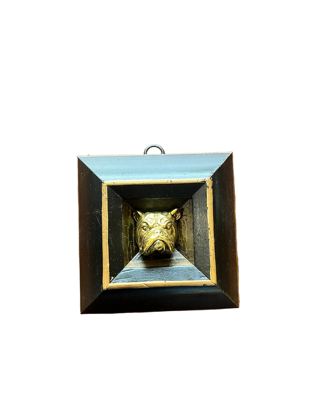 Museum Bees Frames