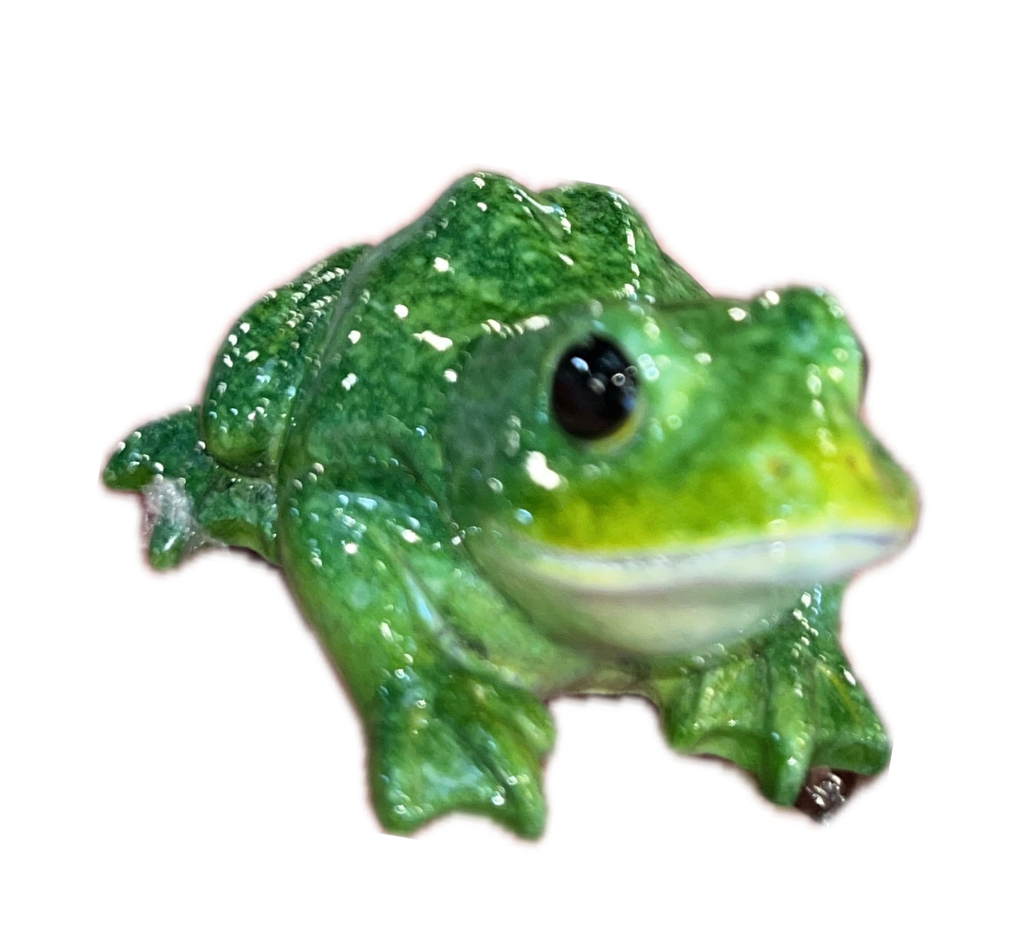 Hand-Painted Frogs
