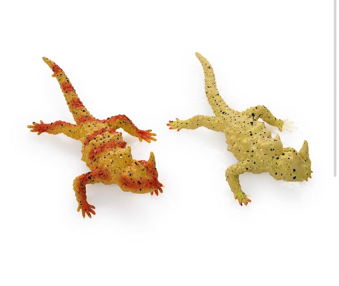 Color Changing Lizards