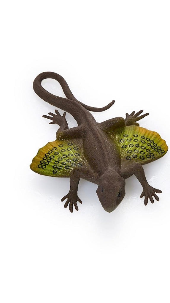 Color Changing Lizards