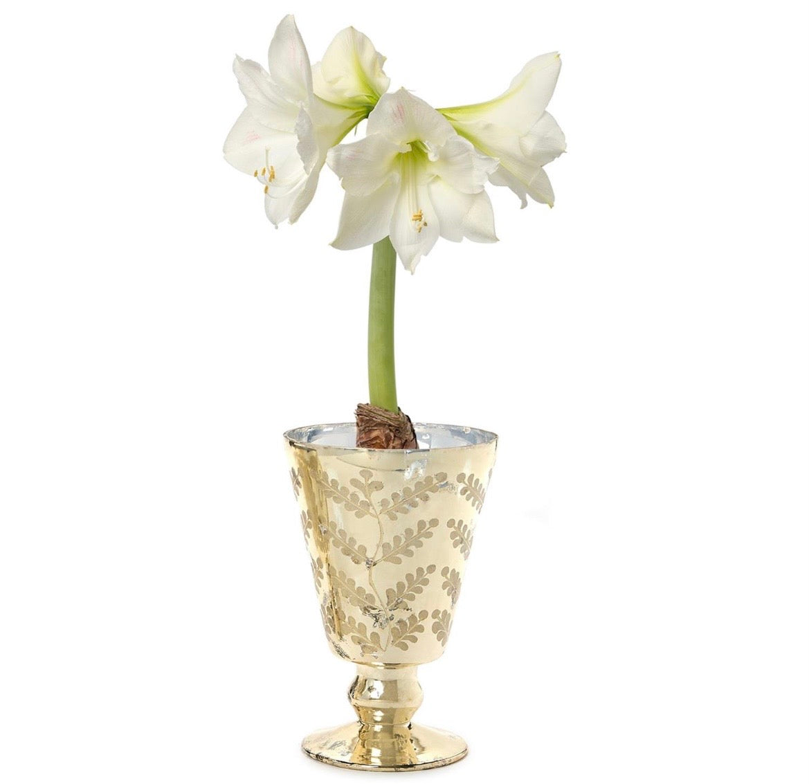 ETCHED MERCURY GLASS CANDLEHOLDER / CACHEPOT ASSORTED 2 STYLES