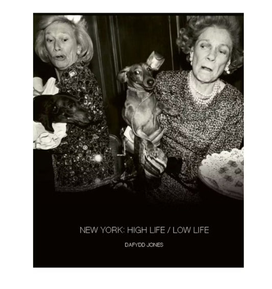 New York: High Life/Low Life Book