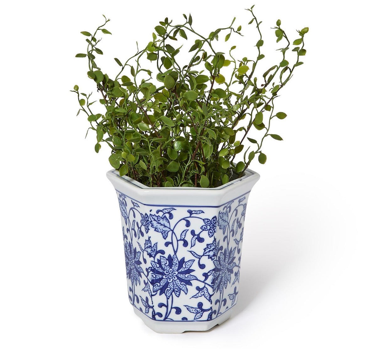 Blue and White Hexagon Cachepot Vase