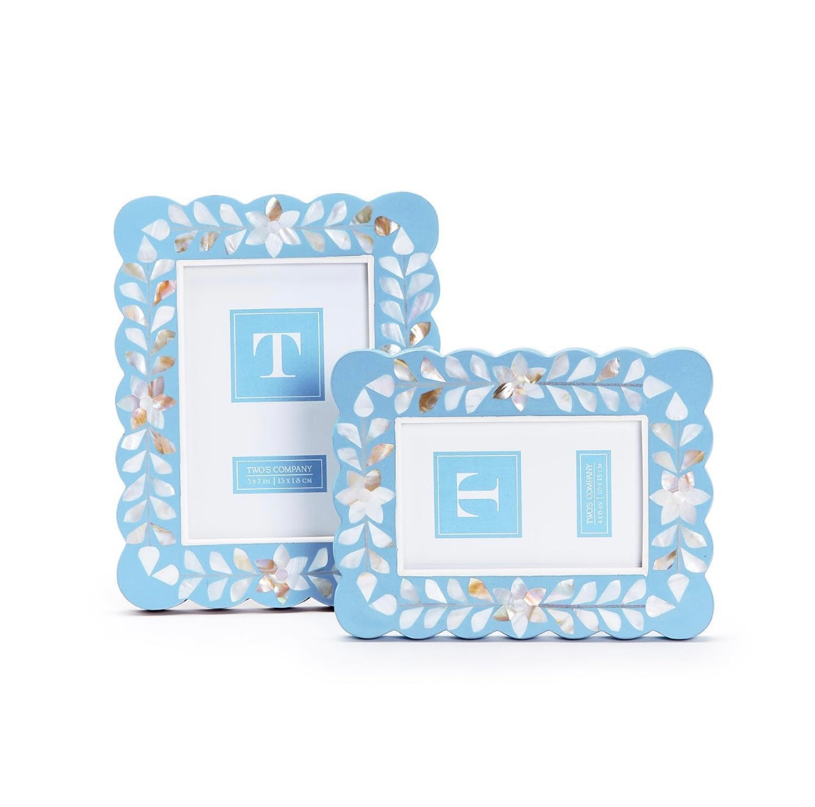 Blue Hydrangeas Frames