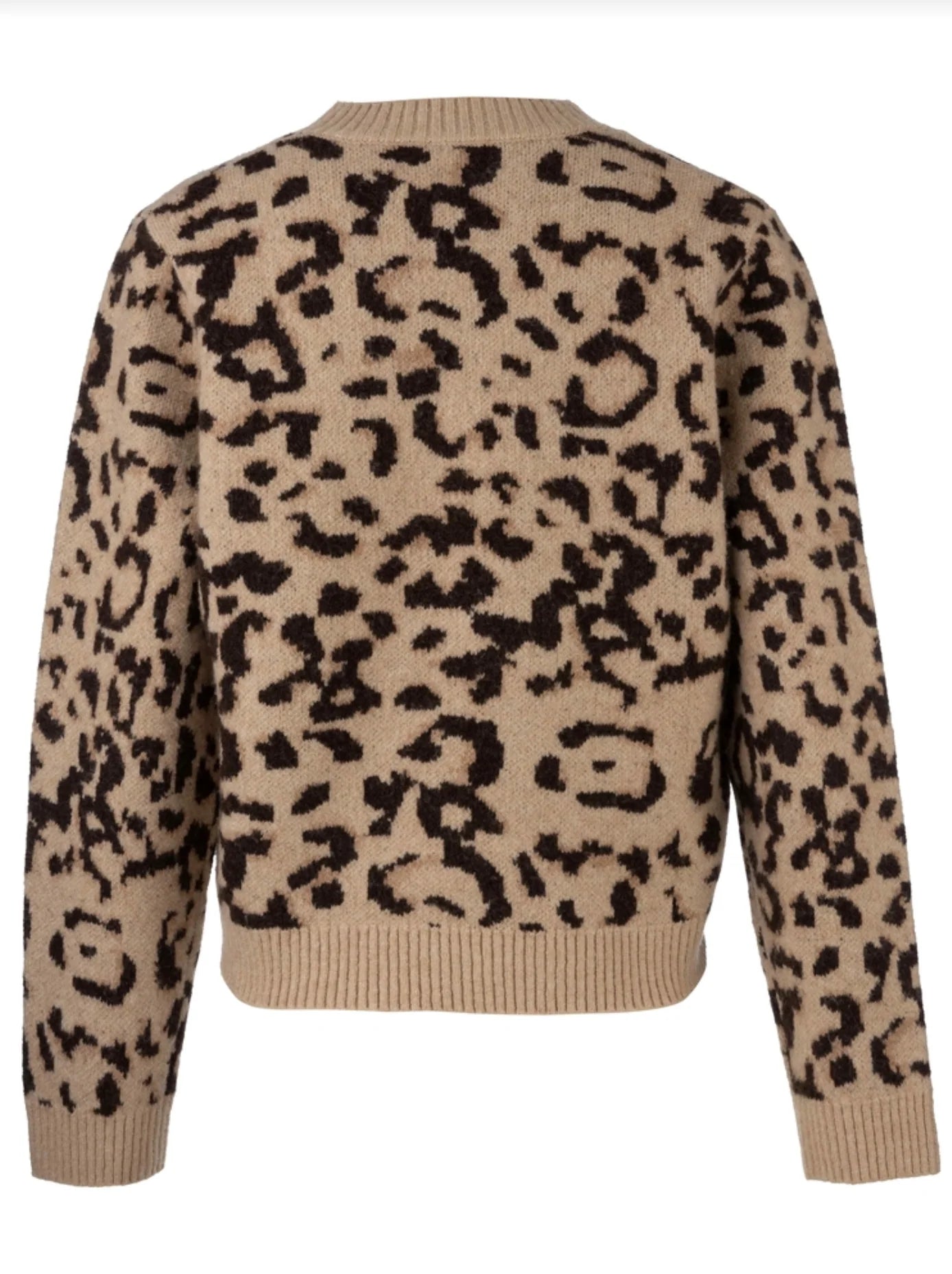 Gisela Animal Print Pullover Sweater