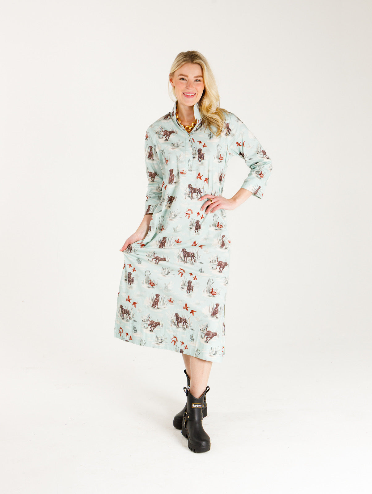 Grace Stretch Poplin Dogs and Drakes Dress
