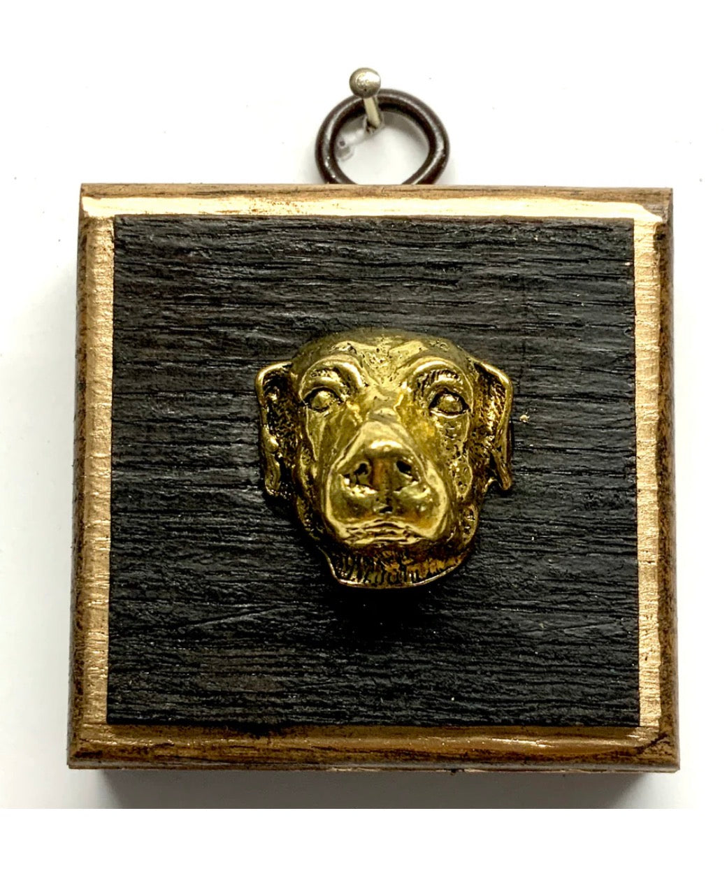 Museum Bees Frames