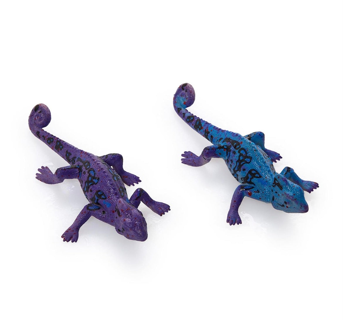 Color Changing Lizards