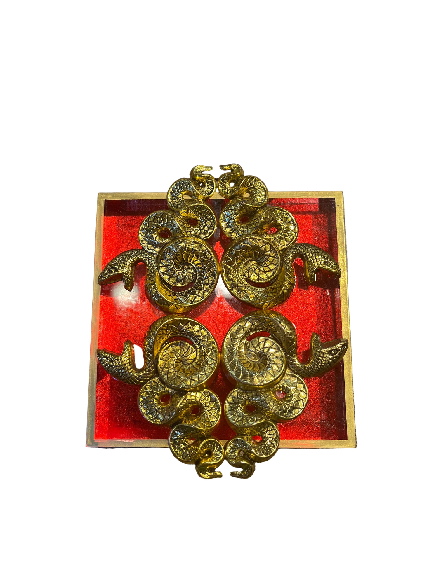Museum Bees Frames