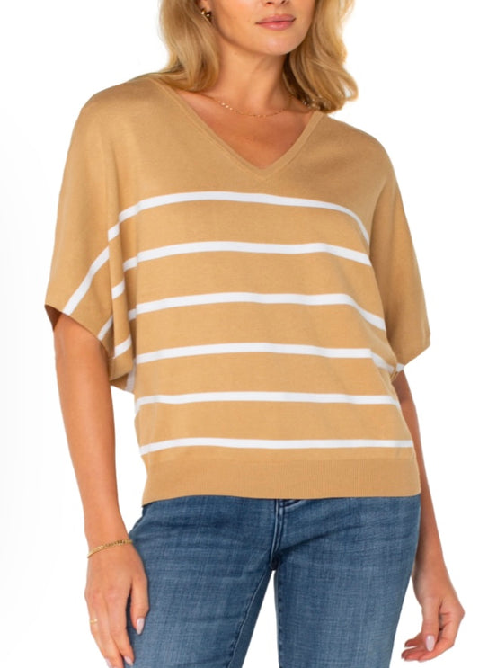 Short Sleeve Dolman V-neck Sweater