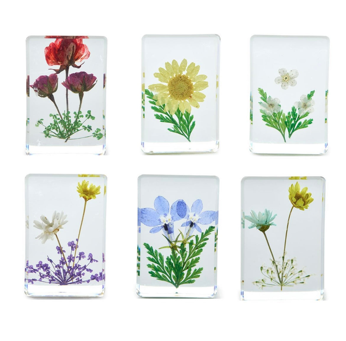 Pressed Wildflower Keepsake