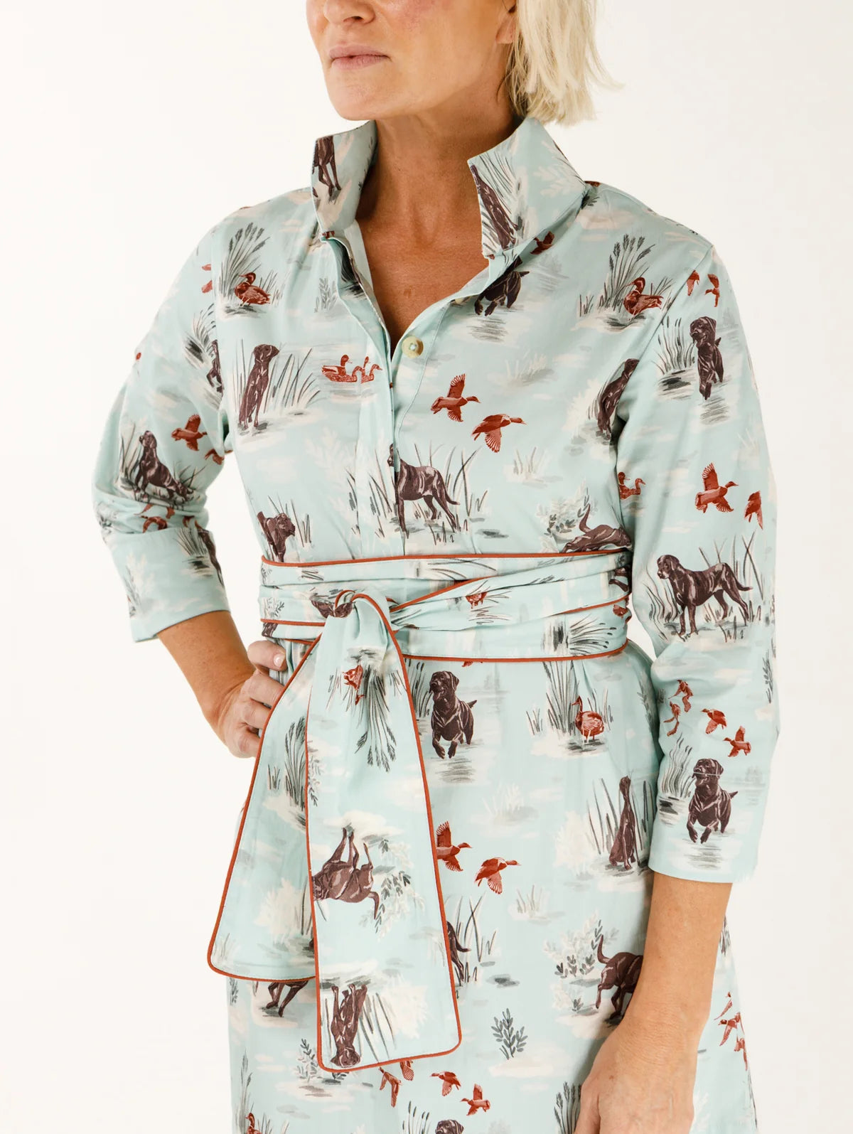 Grace Stretch Poplin Dogs and Drakes Dress
