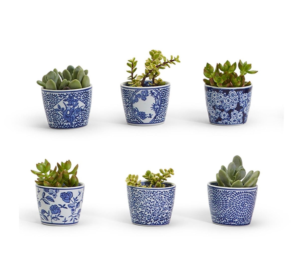 Canton Collection Cachepot - Blue & White