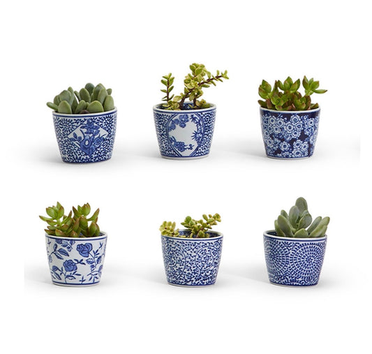 Canton Collection Cachepot - Blue & White