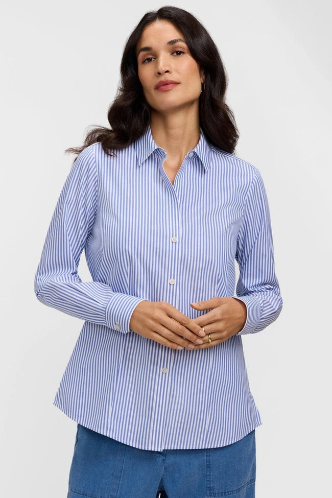Dianna No Iron Pinpoint Striped Long Sleeve Shirt