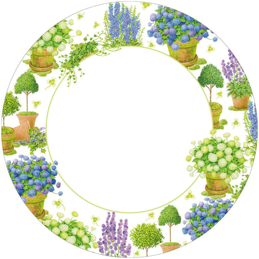 Potted Hydrangea Dinner Plates
